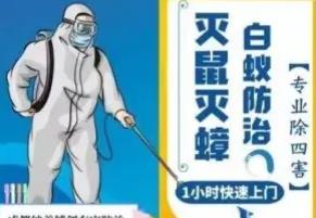 成都除四害、除虫除蚁、除白蚂蚁、灭老鼠、灭蟑螂、除苍蝇蚊子跳 成都除四害、除虫除蚁、除白蚂蚁、灭老鼠、灭蟑螂、除苍蝇蚊子跳