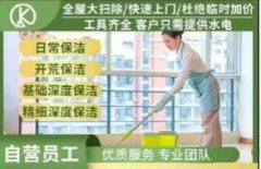 专业日常保洁 擦玻璃 深度消毒保洁 开荒保洁 精细保洁 空调