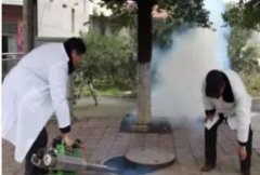 成都除四害、除虫除蚁、除白蚂蚁、灭老鼠、灭蟑螂、除苍蝇蚊子跳